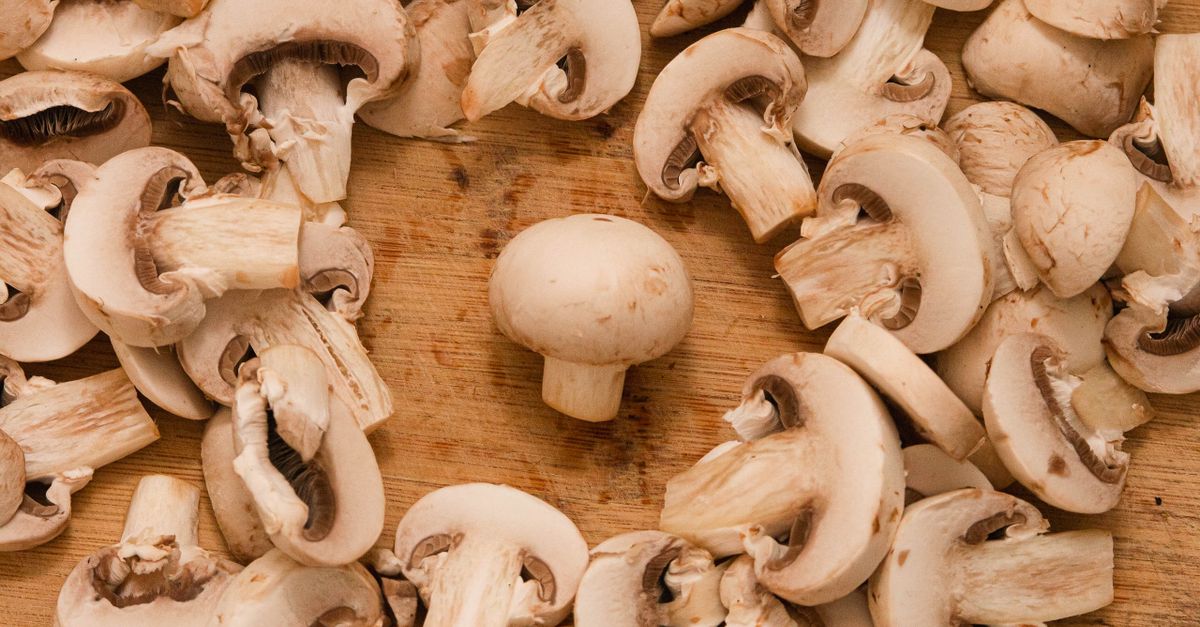 Champignons de Paris à la poêle sans excès d'eau : la technique qui fonctionne