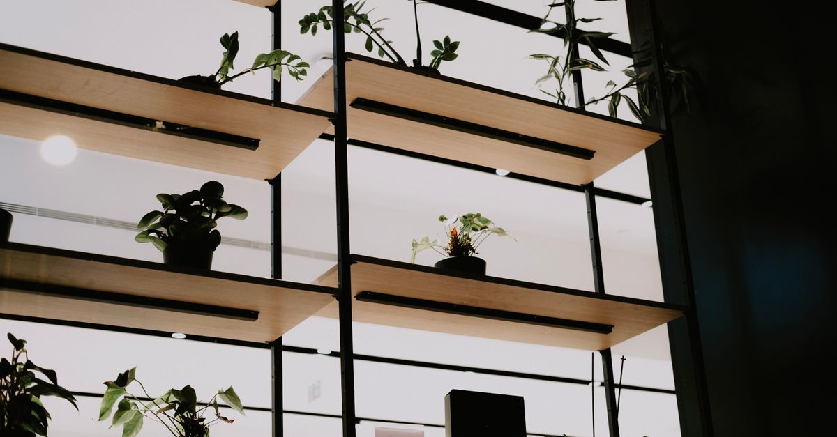 Étagères en bois flottantes fixées le long d'une structure métallique près d'une baie vitrée, avec des plantes vertes posées dessus.