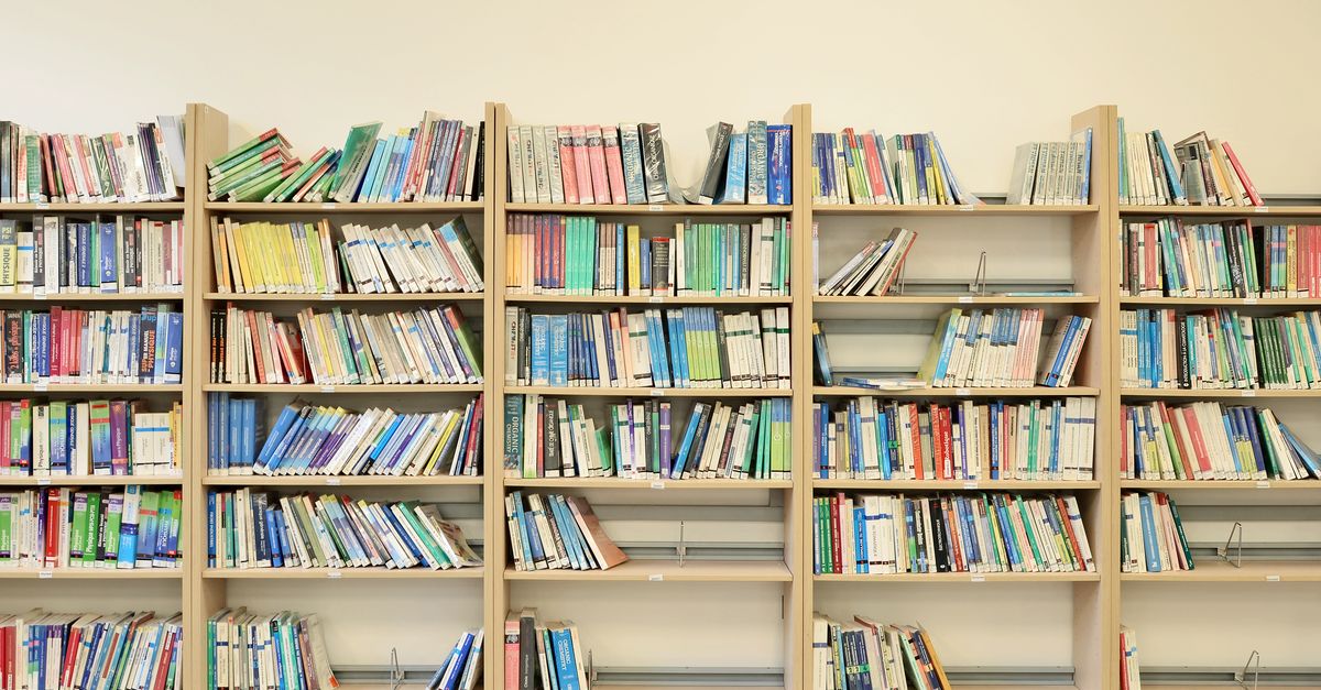 Étagères murales en bois clair remplies de livres bien rangés, organisés par rangées régulières.