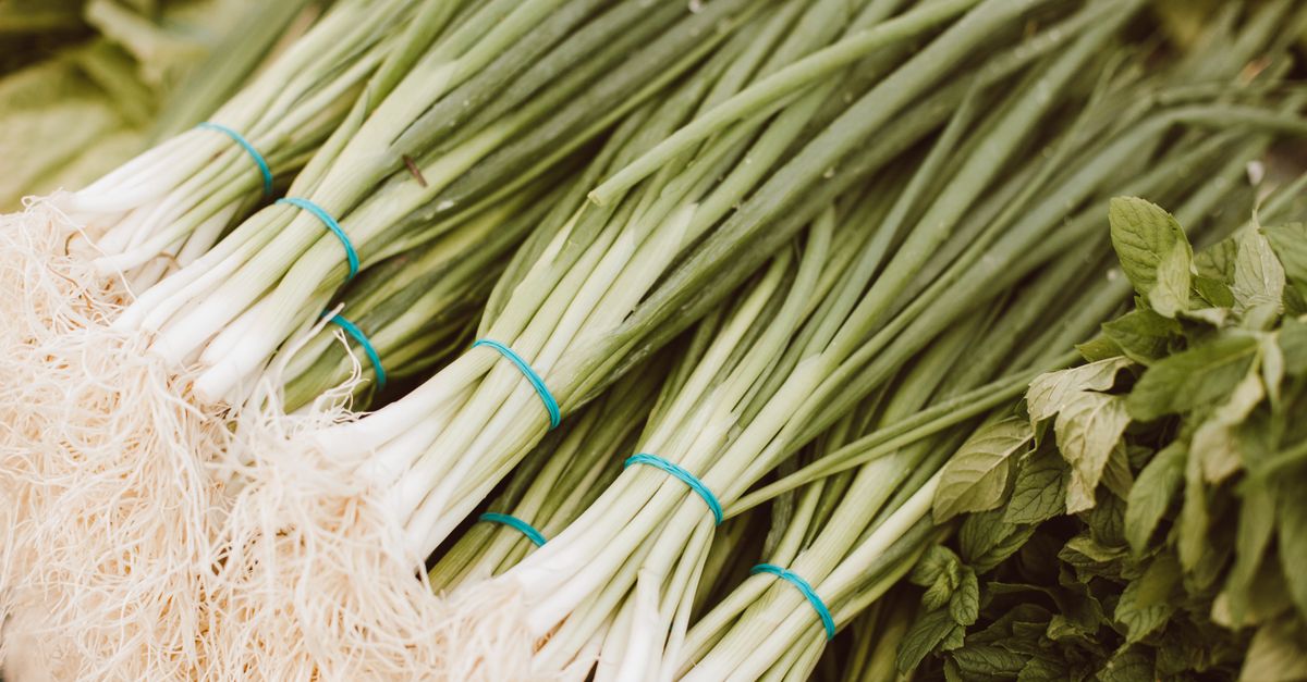 Bottes d'oignons nouveaux frais avec leurs racines blanches, attachées par des élastiques bleus, à côté de feuilles de menthe.
