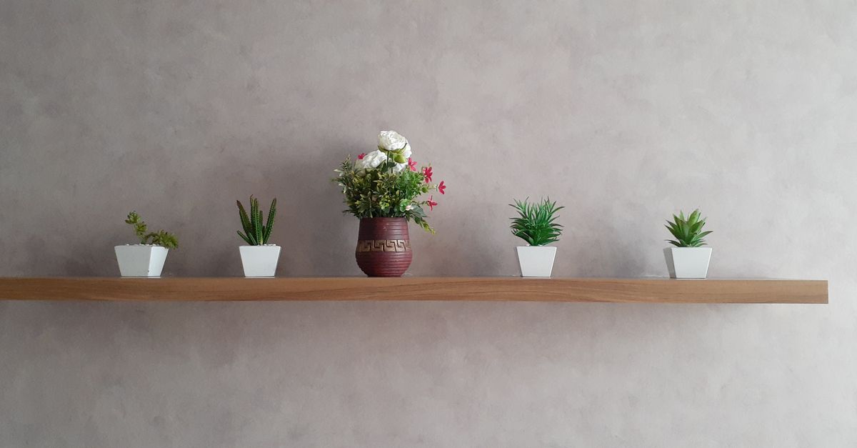 Une étagère flottante en bois fixée au mur avec de petites plantes en pot alignées dessus.
