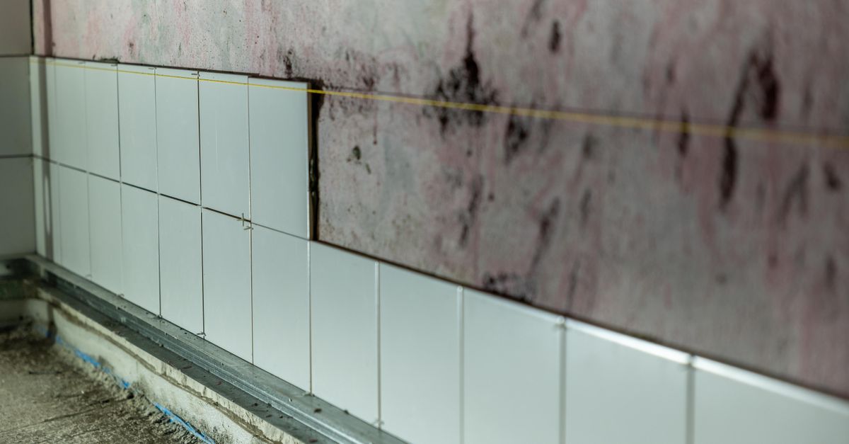 Enlever les taches de moisissure dans la salle de bain sans javel ni produits toxiques