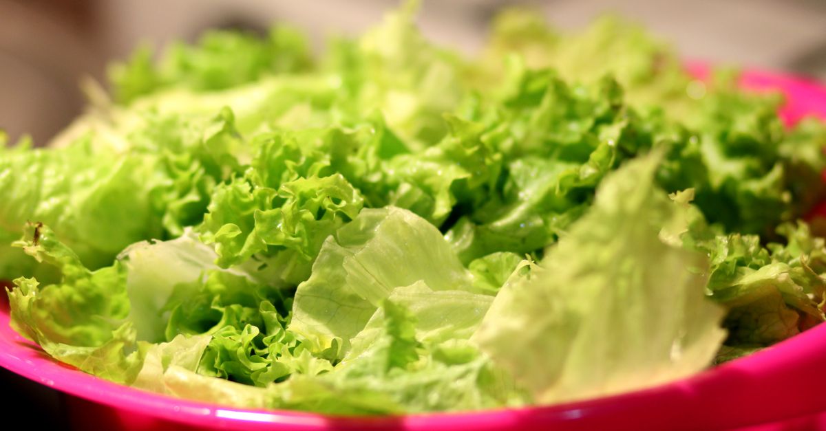 Des feuilles de salade fraîches et croquantes dans un grand bol rose après rinçage.