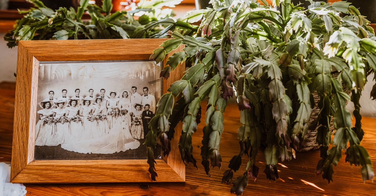 Cadre en bois contenant une photo de mariage ancienne en noir et blanc, posé sur une table à côté d'une plante.