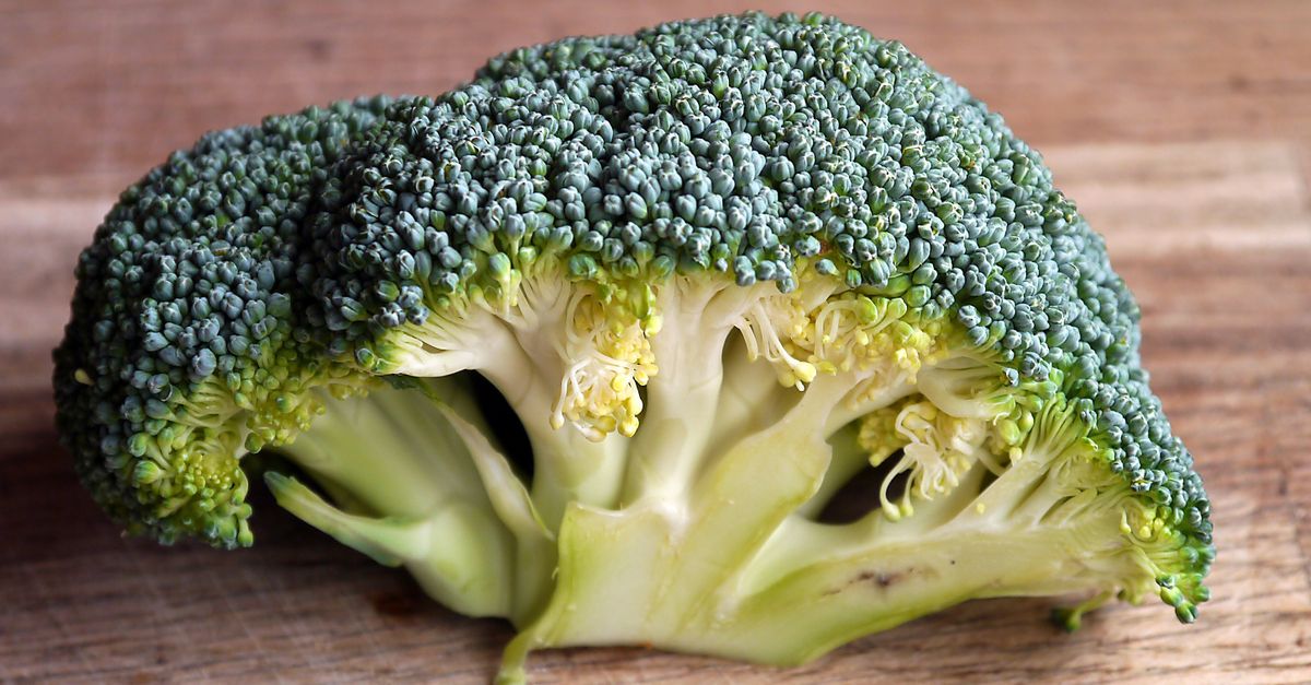 Un bain d'eau glacée juste après la vapeur garde le brocoli vert et croquant