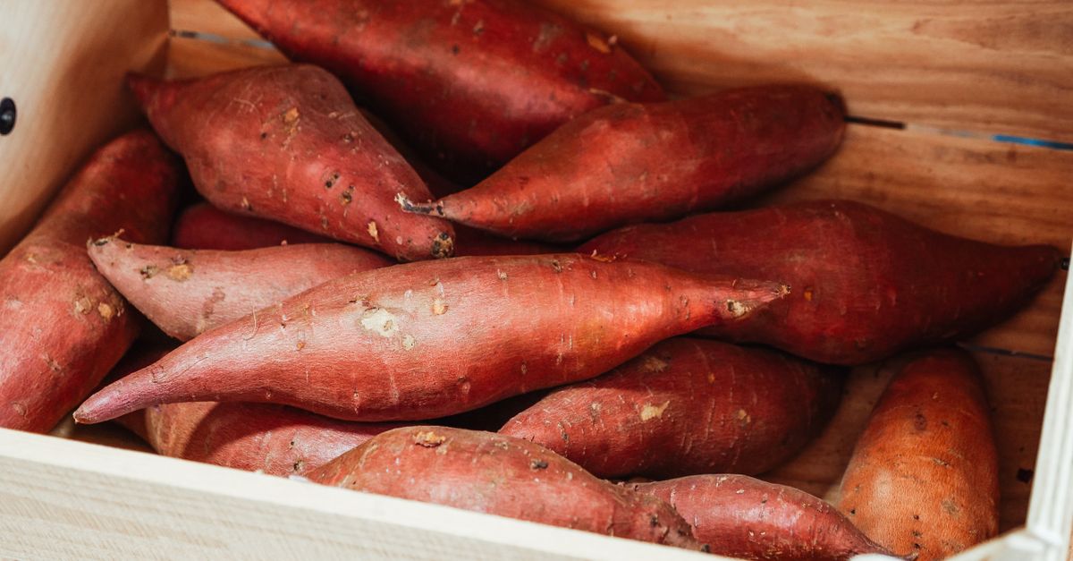 Comment aménager un petit cellier ou une cave pour conserver les fruits et légumes d'automne sans qu'ils pourrissent ?