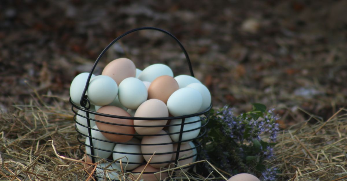Un panier métallique rempli d'œufs de différentes couleurs posé sur de la paille, avec des fleurs mauves à côté.