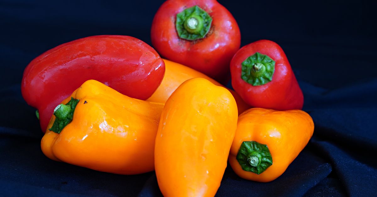 Poivrons rouges, jaunes et oranges crus entassés sur un tissu noir.